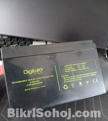 Digital X Battery 12v